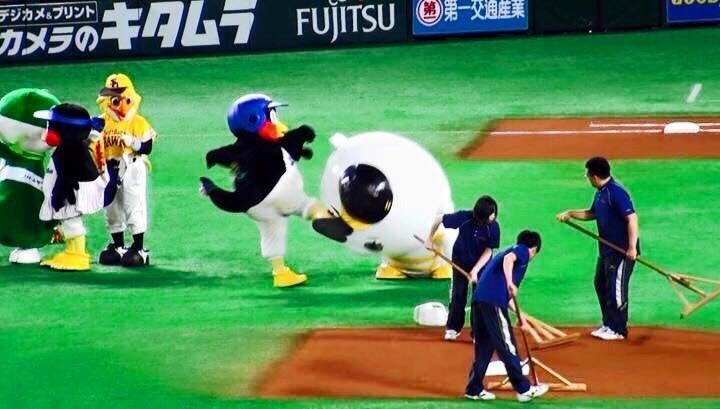 つば九郎を写真の数々で偲ぶ - 時代遅れの男のブログ