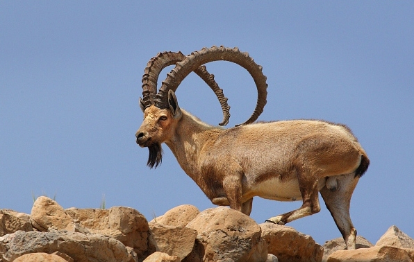 f:id:georgekato:20161023160015j:plain