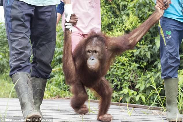 f:id:georgekato:20171105152716j:plain f:id:georgekato:20171105152716j:plain