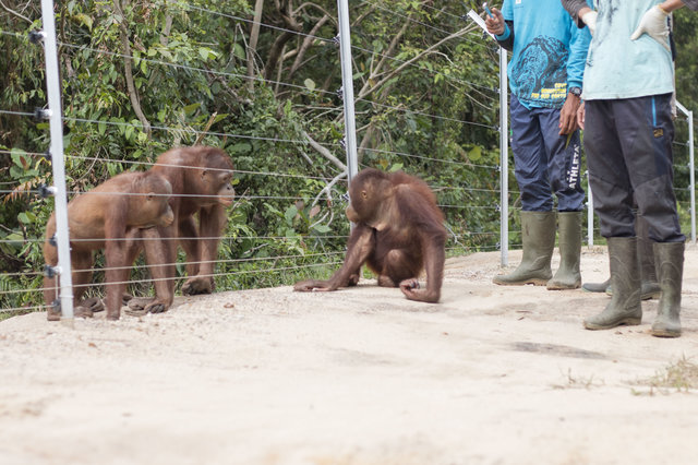 f:id:georgekato:20171105152737j:plain f:id:georgekato:20171105152737j:plain