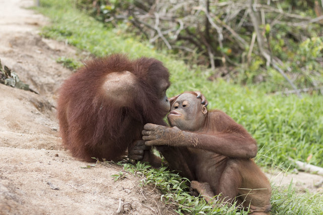 f:id:georgekato:20171105152756j:plain f:id:georgekato:20171105152756j:plain