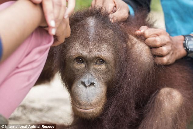 f:id:georgekato:20171105155034j:plain f:id:georgekato:20171105155034j:plain