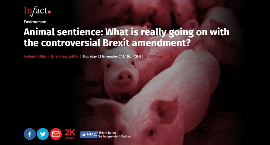 イギリス議会が可決したと報道された 動物に感情や感覚はない という法案 動物を知り 動物を愛す