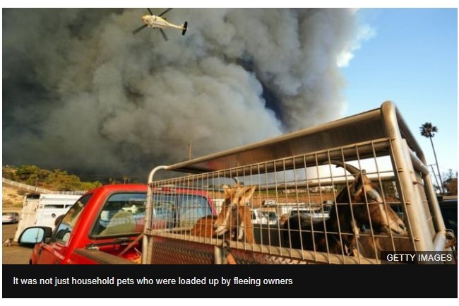 f:id:georgekato:20181114161659j:plain f:id:georgekato:20181114161659j:plain