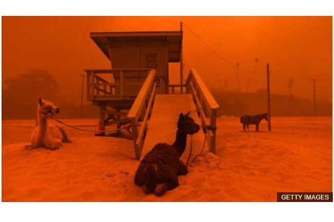 f:id:georgekato:20181114162003j:plain f:id:georgekato:20181114162003j:plain