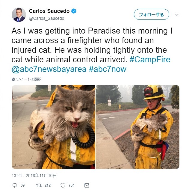 f:id:georgekato:20181114162304j:plain f:id:georgekato:20181114162304j:plain