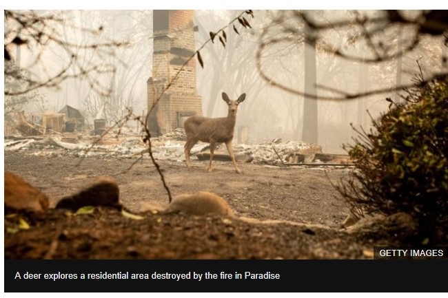 f:id:georgekato:20181114162412j:plain f:id:georgekato:20181114162412j:plain