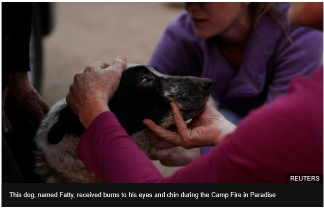 f:id:georgekato:20181114162430j:plain f:id:georgekato:20181114162430j:plain