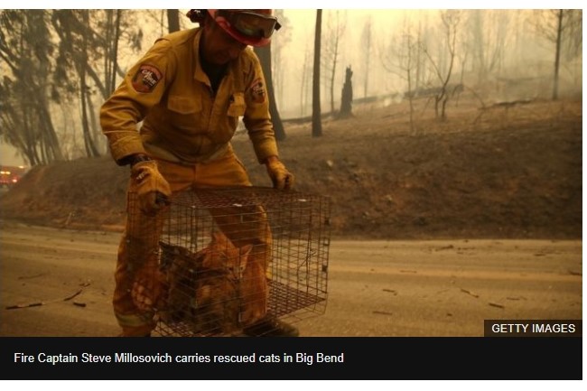 f:id:georgekato:20181114162449j:plain f:id:georgekato:20181114162449j:plain