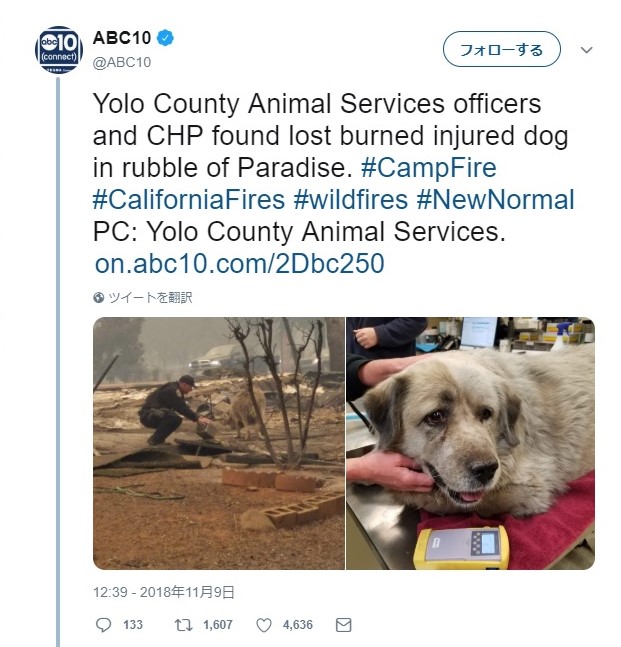 f:id:georgekato:20181114164320j:plain f:id:georgekato:20181114164320j:plain