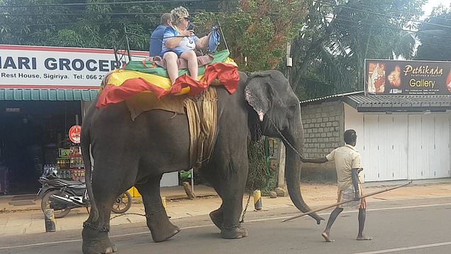 f:id:georgekato:20200208023205j:plain f:id:georgekato:20200208023205j:plain