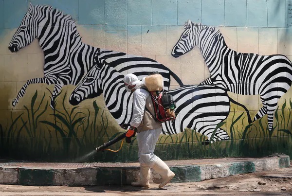 f:id:georgekato:20200523194403j:plain