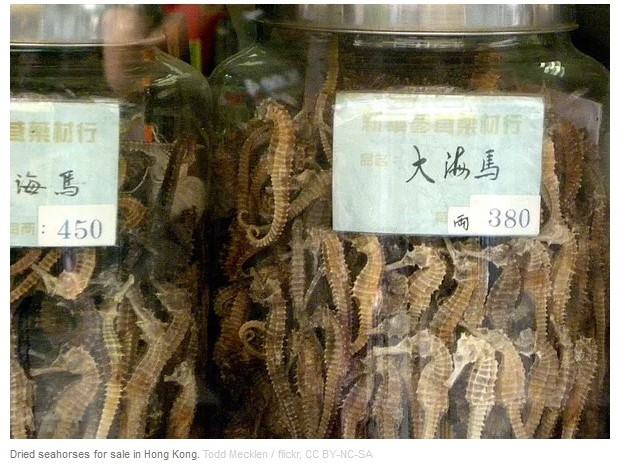 f:id:georgekato:20200905222701j:plain