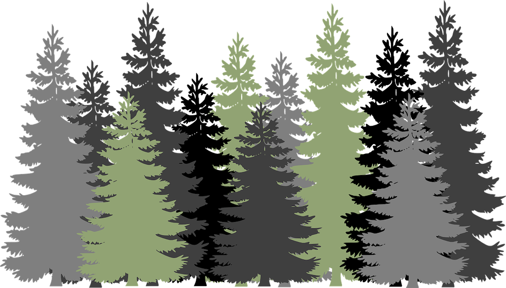 f:id:georgeorge:20190926233837p:image