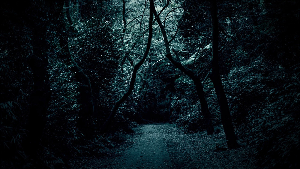 黒い儀式と白い儀式は、公衆便所を夢幻の楽園へと誘う為の魔術。