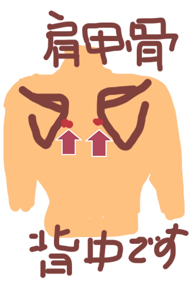 f:id:geppeiteatime:20170514032727j:image f:id:geppeiteatime:20170514032727j:image