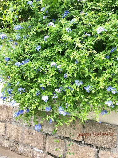 f:id:geppeiteatime:20170907223821j:image
