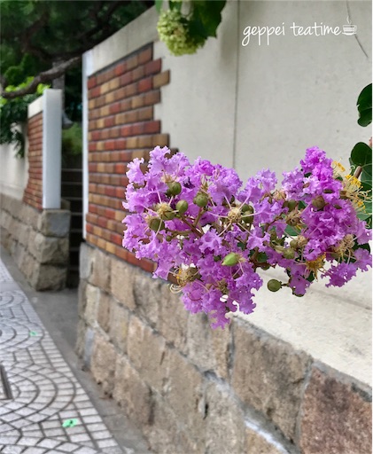 f:id:geppeiteatime:20170907223834j:image
