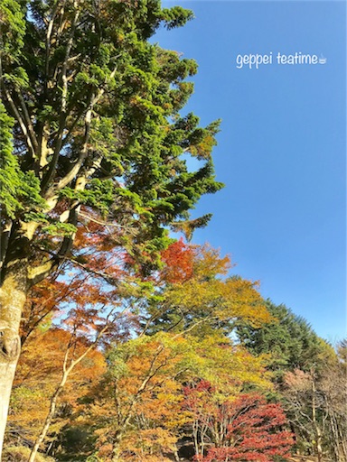 f:id:geppeiteatime:20171102131302j:image