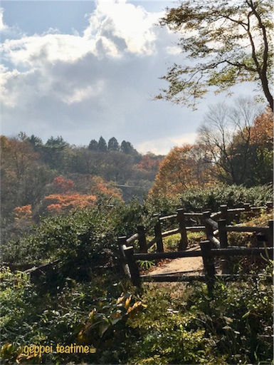 f:id:geppeiteatime:20171102131320j:image