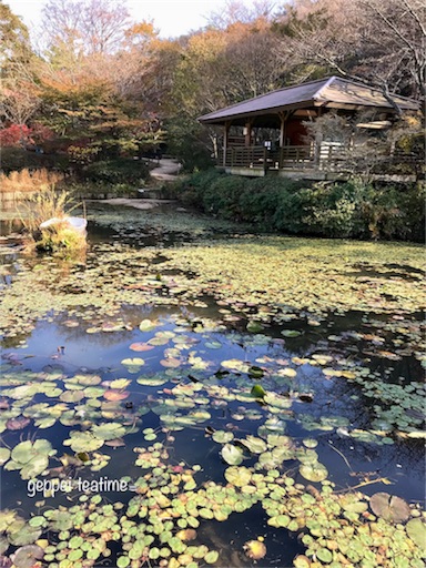 f:id:geppeiteatime:20171102131427j:image