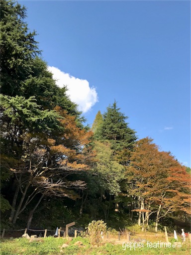 f:id:geppeiteatime:20171102131627j:image