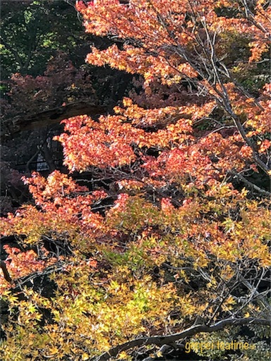 f:id:geppeiteatime:20171102131718j:image