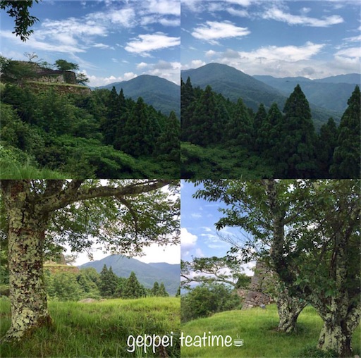 f:id:geppeiteatime:20171113214944j:image