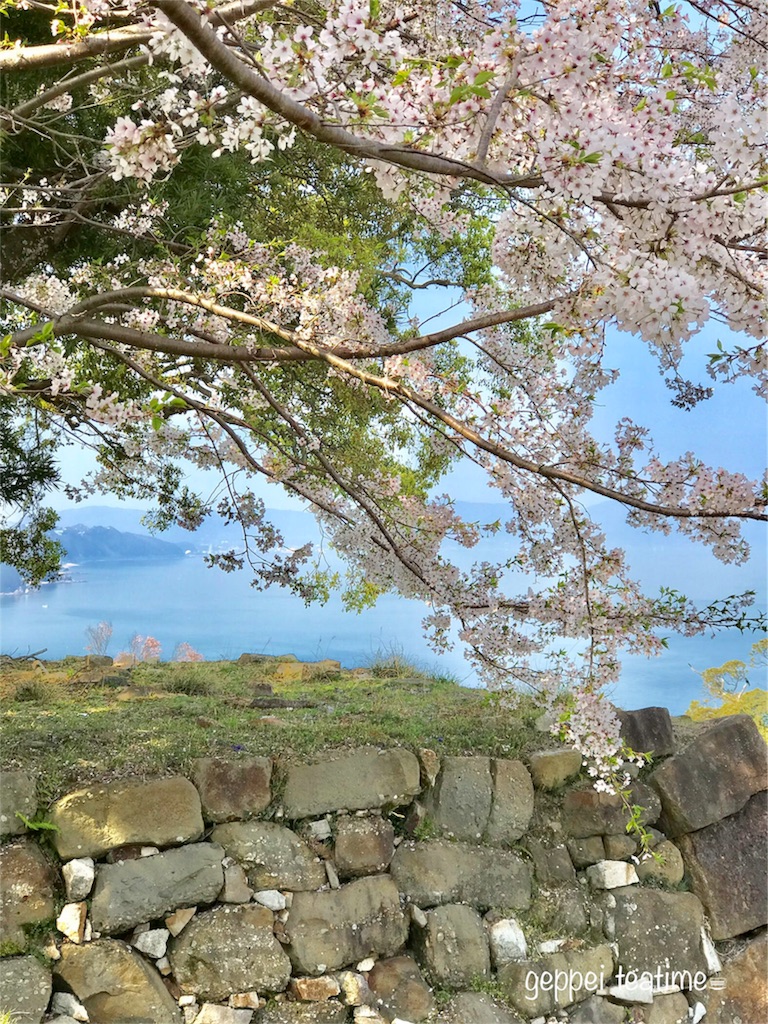 f:id:geppeiteatime:20180407160039j:image