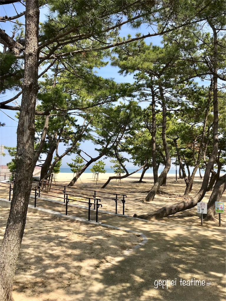 f:id:geppeiteatime:20180408143549j:image