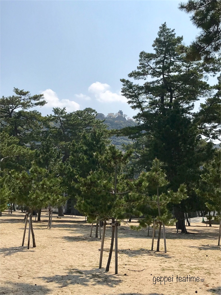 f:id:geppeiteatime:20180408143650j:image