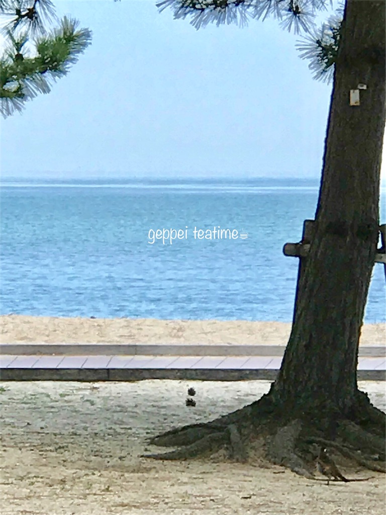 f:id:geppeiteatime:20180408143735j:image