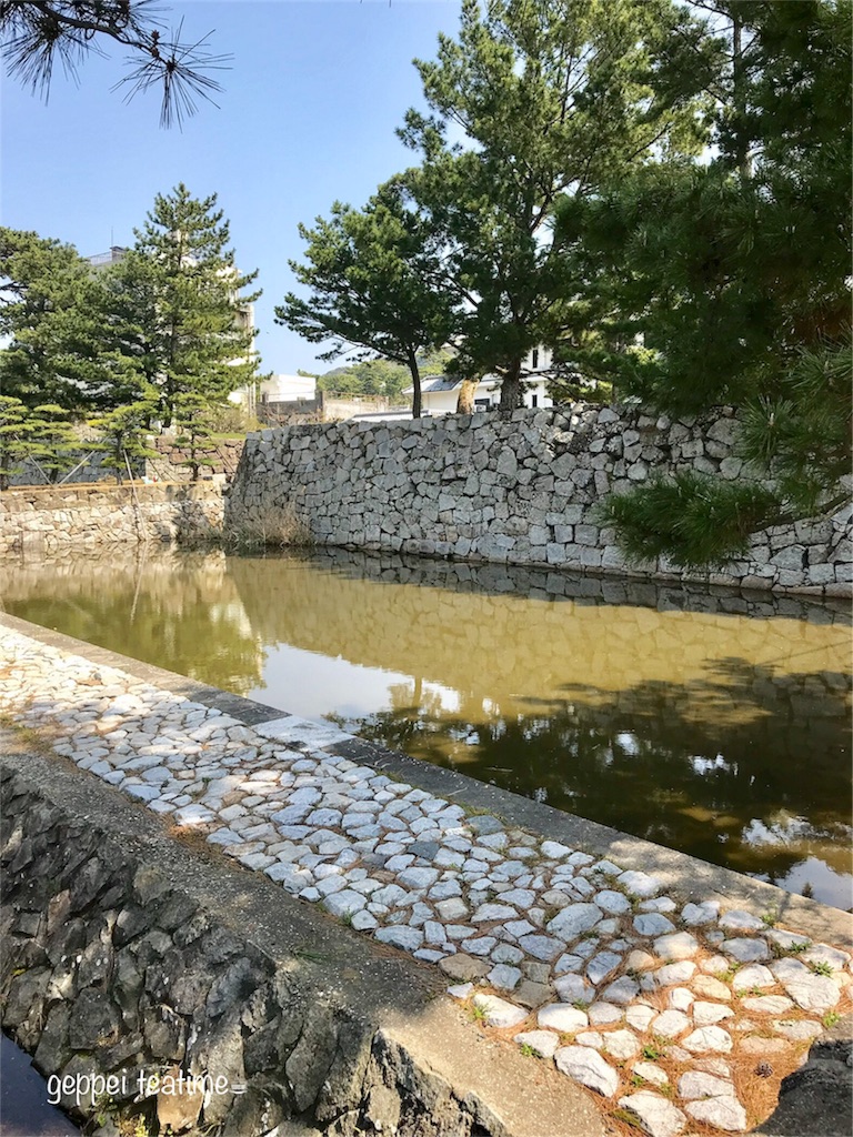 f:id:geppeiteatime:20180408143824j:image