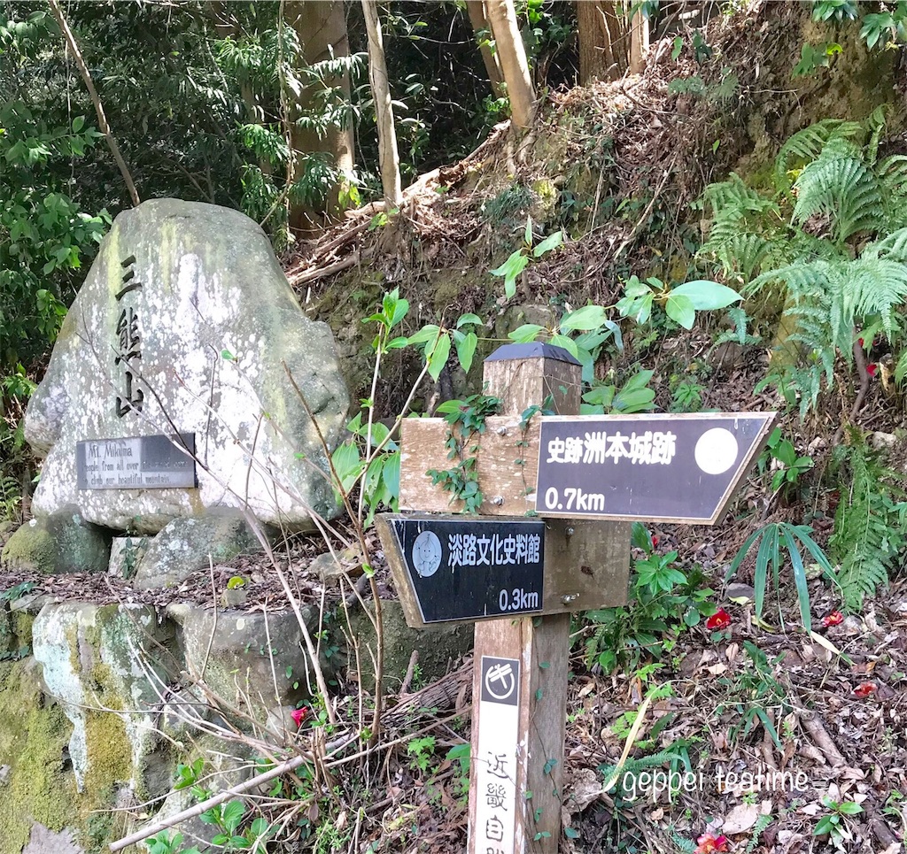 f:id:geppeiteatime:20180408143927j:image