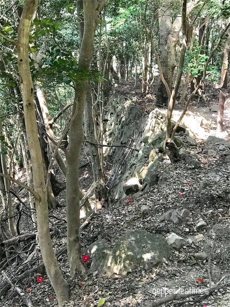 f:id:geppeiteatime:20180408144001j:image