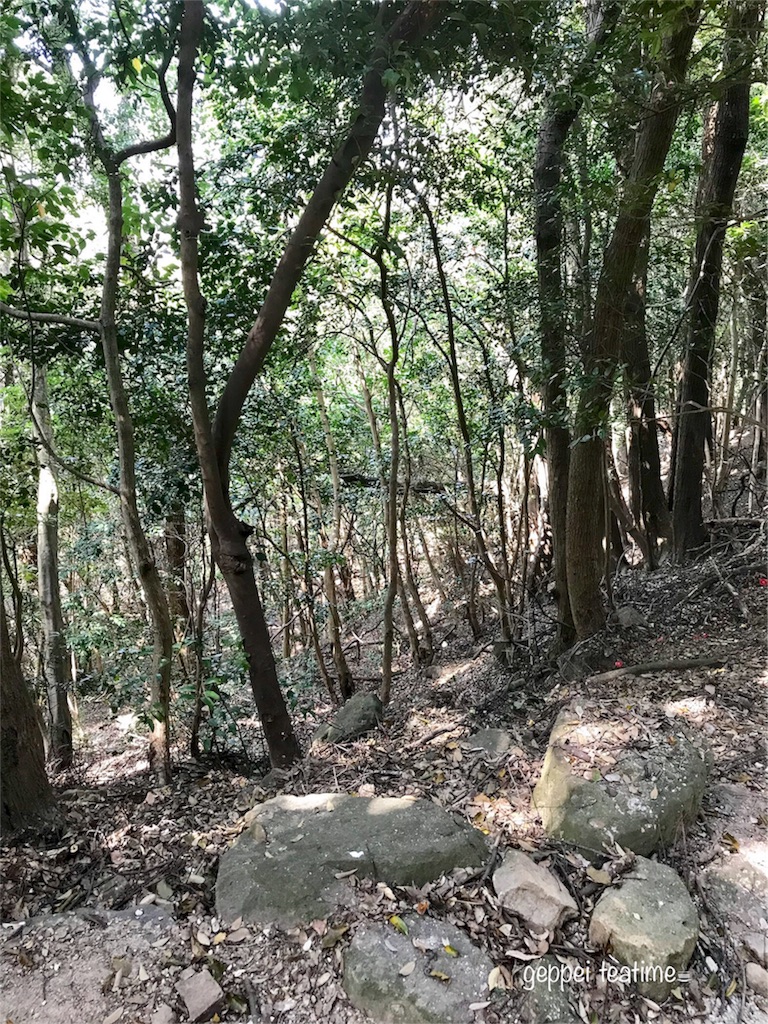 f:id:geppeiteatime:20180408144016j:image