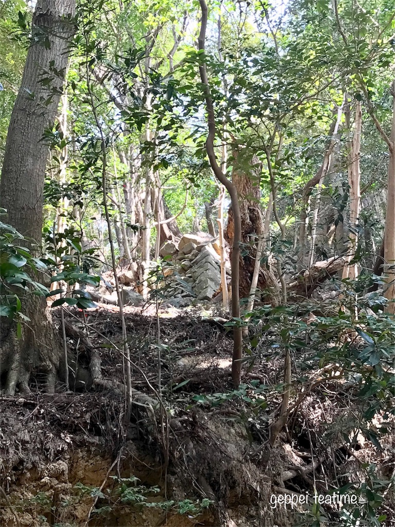 f:id:geppeiteatime:20180408144031j:image