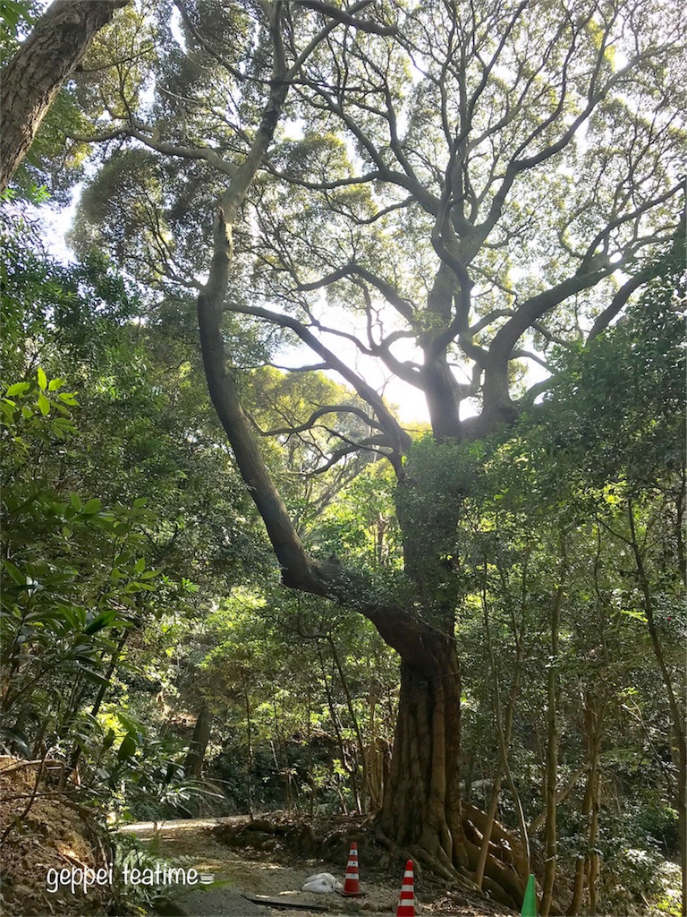 f:id:geppeiteatime:20180408144042j:image