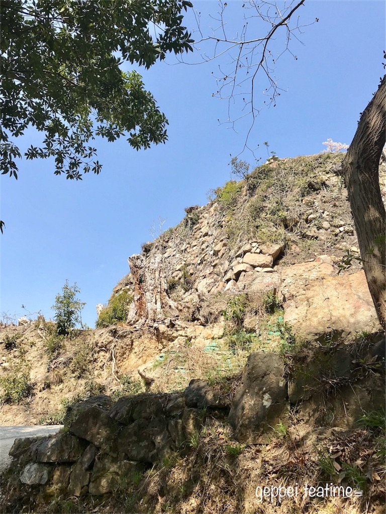 f:id:geppeiteatime:20180408144137j:image