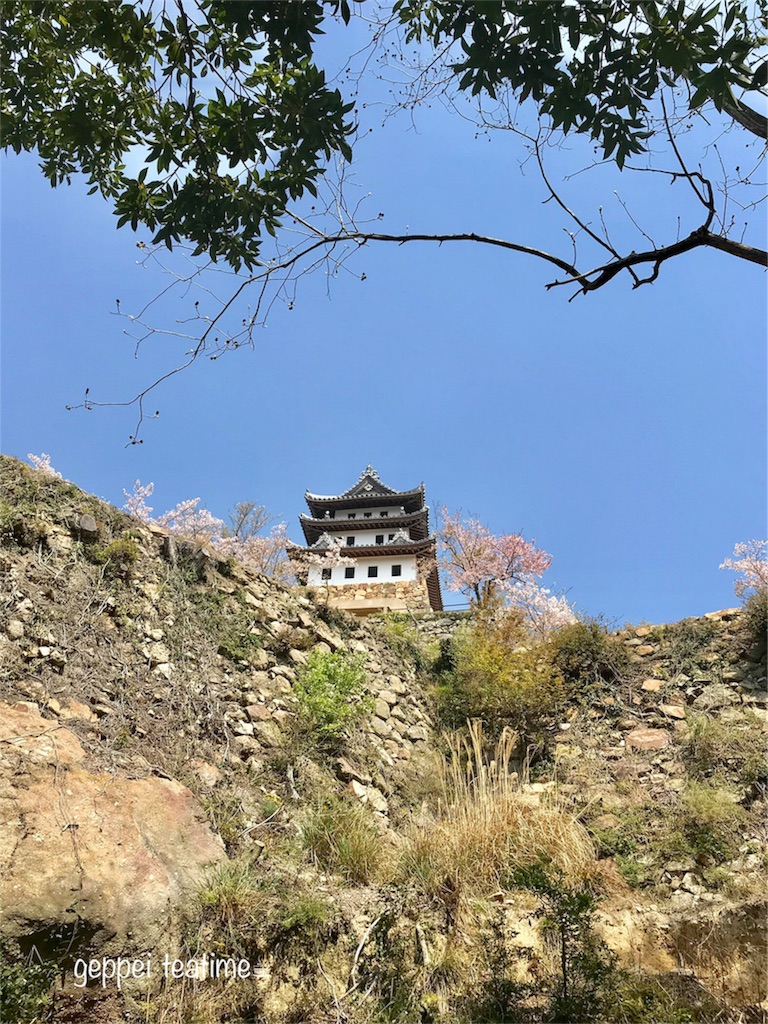 f:id:geppeiteatime:20180408144150j:image