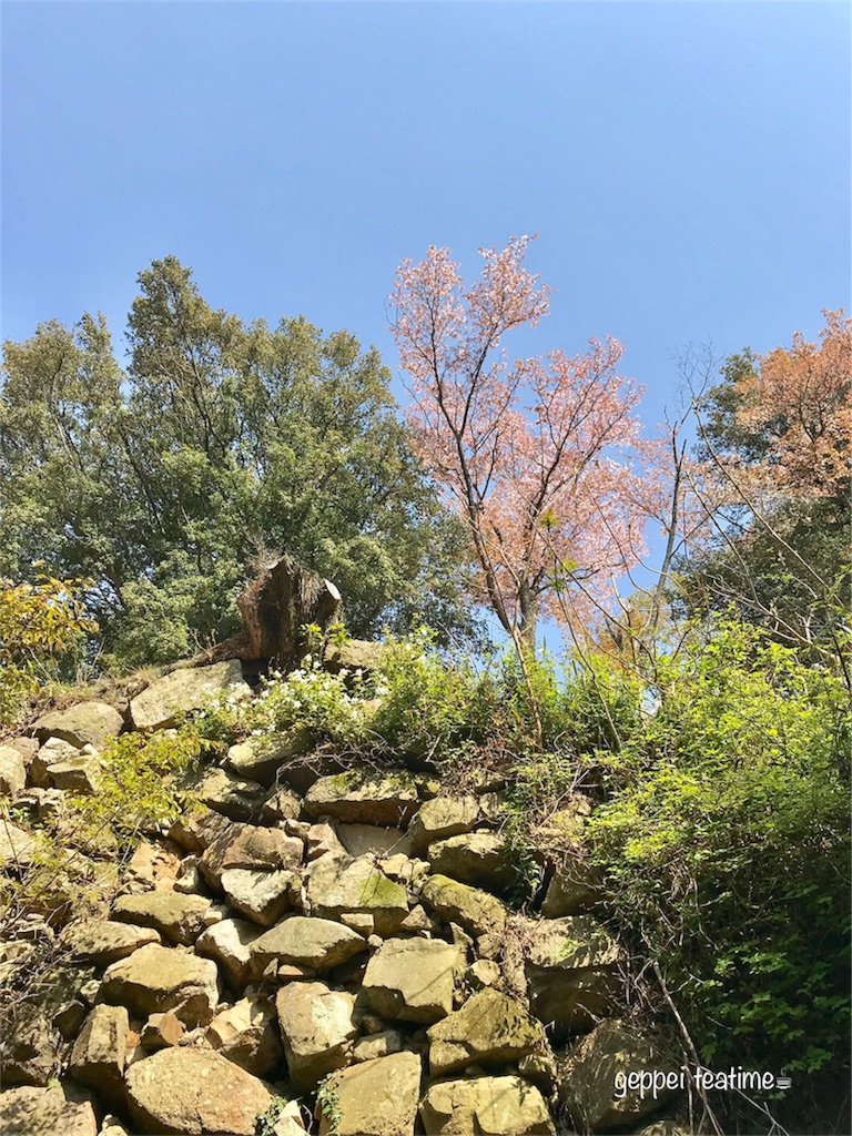 f:id:geppeiteatime:20180408144240j:image