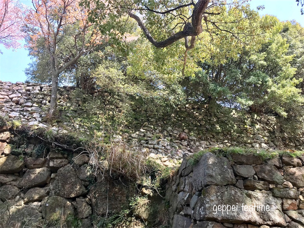 f:id:geppeiteatime:20180408144254j:image