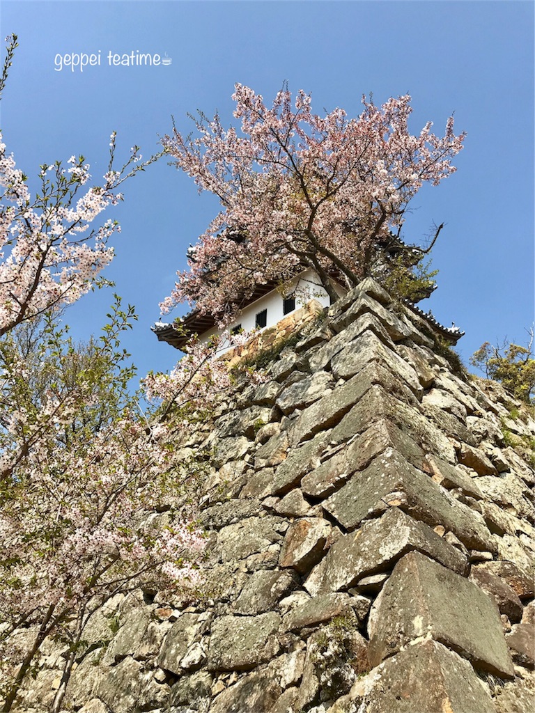 f:id:geppeiteatime:20180408144551j:image