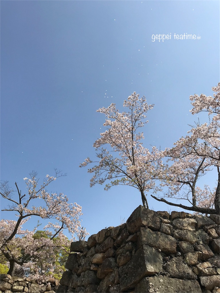 f:id:geppeiteatime:20180408144622j:image