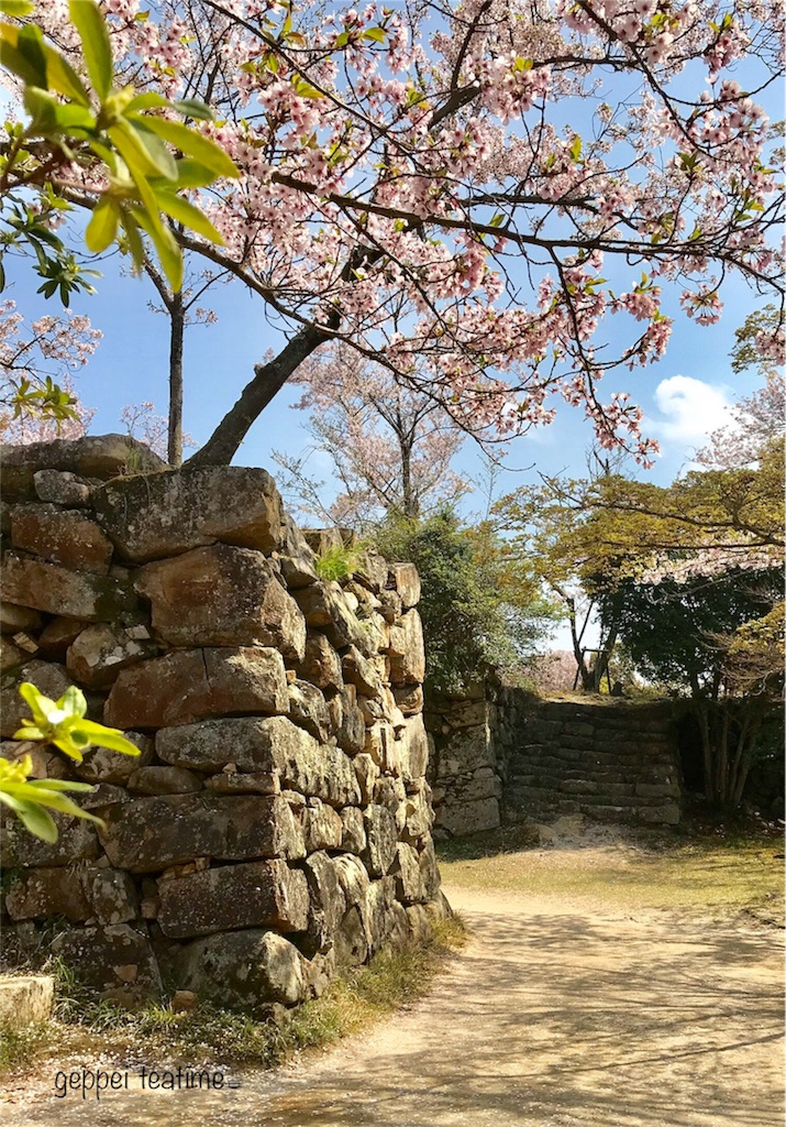 f:id:geppeiteatime:20180408144733j:image