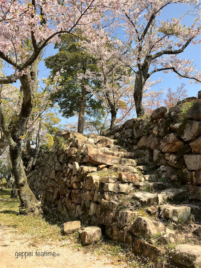 f:id:geppeiteatime:20180408144816j:image