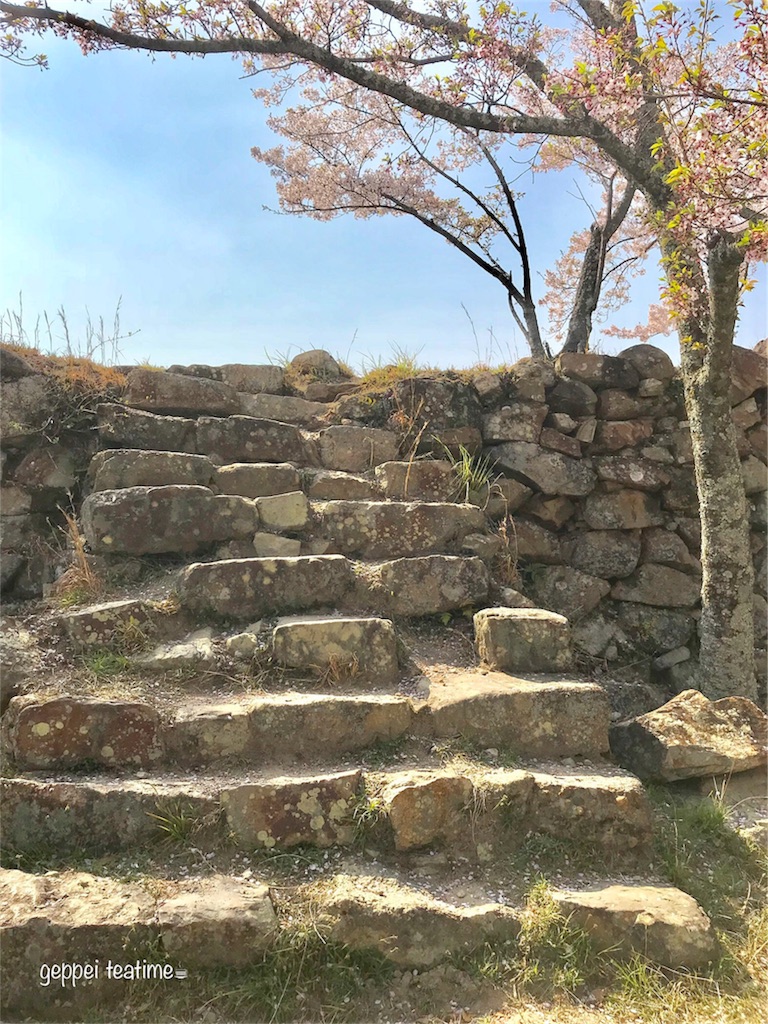 f:id:geppeiteatime:20180408145300j:image