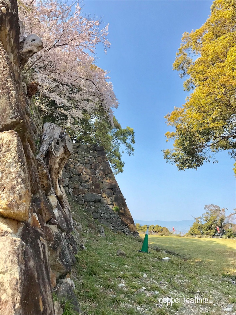 f:id:geppeiteatime:20180408145317j:image