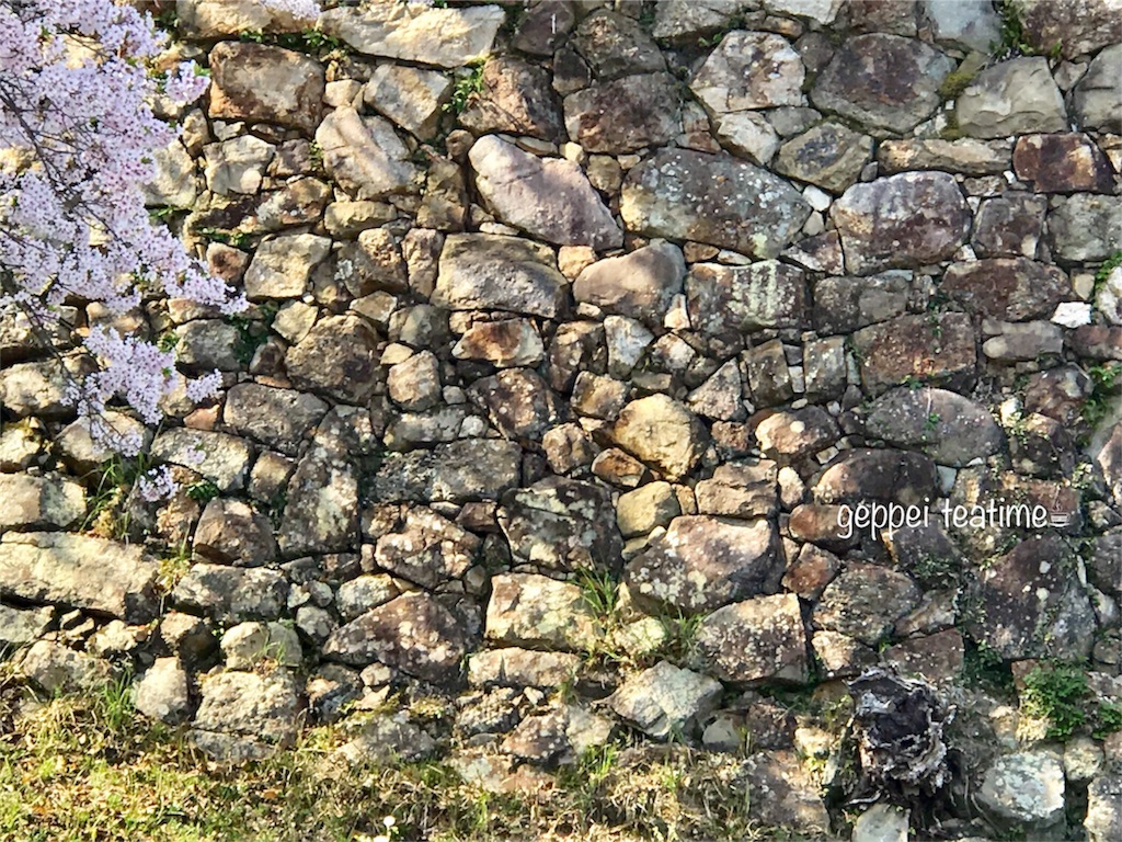 f:id:geppeiteatime:20180408163532j:image