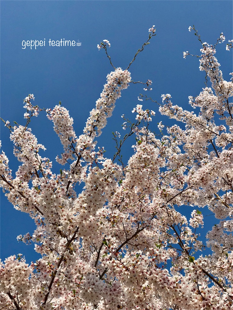 f:id:geppeiteatime:20180408163613j:image